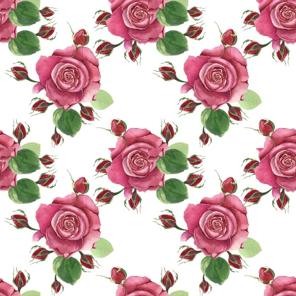 Βοτανικό Φλοράλ Φόντο Κόκκινα Τριαντάφυλλα Υδατογραφία Ρομαντικά Λουλούδια Λευκό Φόντο — Φωτογραφία Αρχείου