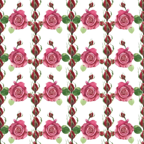植物的花背与红玫瑰 白色背景上的水彩花 婚礼或贺卡 纺织品 包装纸等新鲜精致的设计 — 图库照片