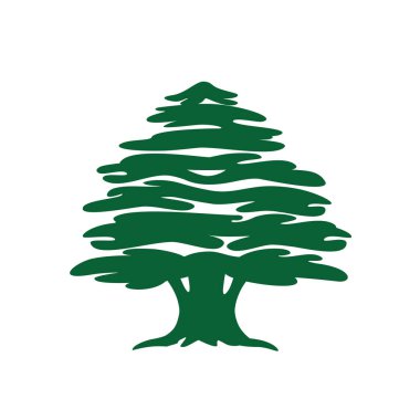 Soyut sedir ağacı. Lübnan sedir silueti logo tasarımı, simgesi ve sembolünde kullanılabilir. Vektör illüstrasyonu.