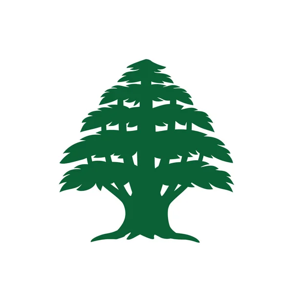 Árbol Cedro Abstracto Silueta Cedro Libanés Puede Utilizar Diseño Del Vector De Stock