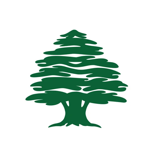 摘要雪松 黎巴嫩雪松轮廓可用于标识设计 矢量说明 图库插图