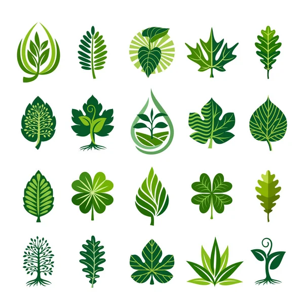 绿色装饰叶图标设置 各种形状的绿叶 生物标识或景观设计业务 爱护环境等要素 矢量说明 免版税图库插图