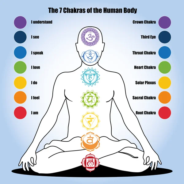 Sete chakras do corpo humano — Vetor de Stock