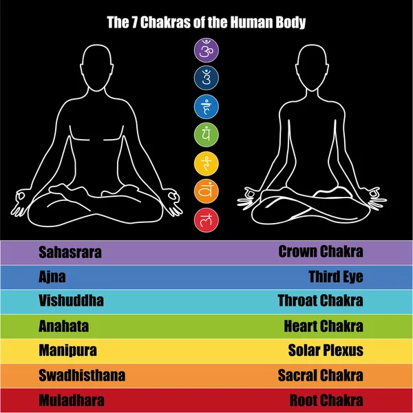 Siete chakras del cuerpo humano — Vector de stock