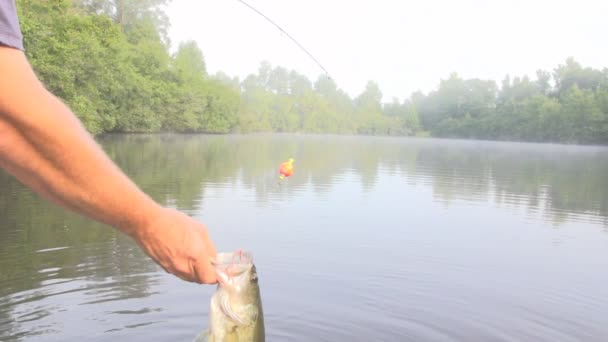 Fischer zeigt einen Fisch — Stockvideo