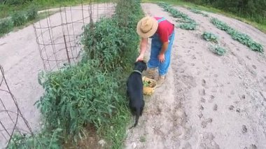 Bahçe malzeme çekme sebze çiftçi