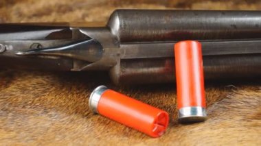 Av tüfeği kabukları ile