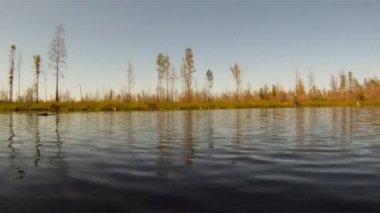 Amerikan Timsah Nehri üzerinde