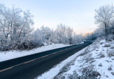 Yanlarında buzlu ağaçlar ve kış mevsiminde bulutlu mavi bir gökyüzü olan karlı bir yol.