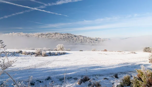 Vista Montanhas Cobertas Neve Com Árvores Fundo Nevoeiro Nascer Sol — Fotografia de Stock