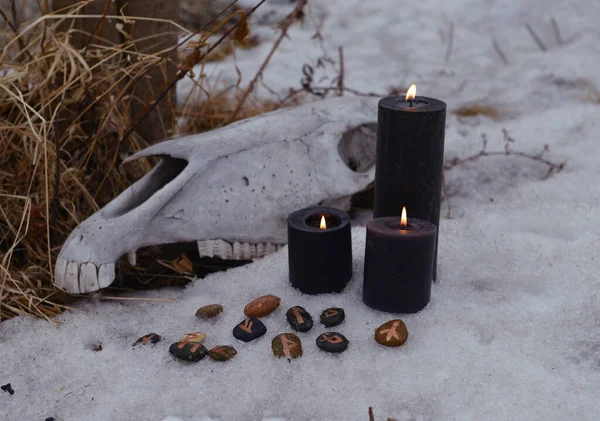 Magic ritual with scary horse skull, black candles and runes outside.  Esoteric, gothic and occult background, Halloween mystic and wicca concept outdoors.
