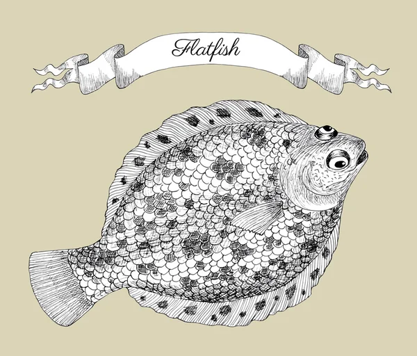 Drawing with flatfish and vignette banner — Stock Illustration Drawing with flatfish and vignette banner Royalty Free Stock Vectors