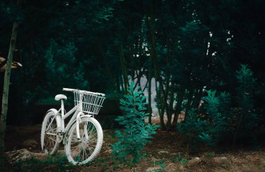 Soğuk havada dağ ormanının ortasında beyaz bisiklet.