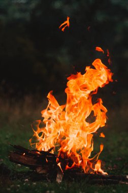 Soğuk bir günde, tarlanın ortasında odunla kamp ateşi.