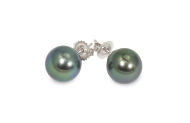 Black Green South Sea Pearl Earrings Pair isolated on white clipart