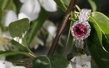 Pink diamond tourmaline engagement ring hidden amongst tree blooms clipart