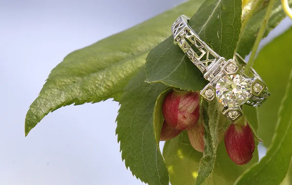 Anello da sposa diamante sul ramo del bocciolo di fiore per fidanzamento — Foto Stock