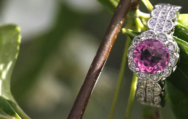 Bague de fiançailles tourmaline diamant rose cachée parmi les fleurs d'arbre Images De Stock Libres De Droits