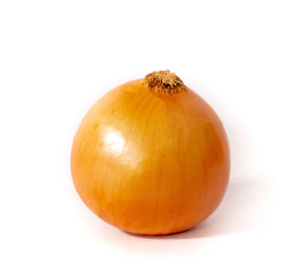One Onion White Background — Stock Photo, Image