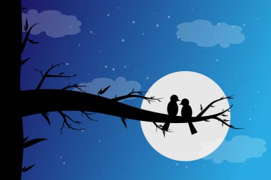 Gece ay ışığında iki kuş çiftleşti.