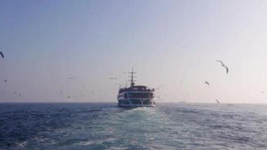 Büyük beyaz bir yat denizde yelken açar, geniş bir uyanış bırakır. Bir sürü martı uçuyor, su ufkun ötesine geçiyor, açık havada hiç bulut yok. Gemi ileri doğru gidiyor.