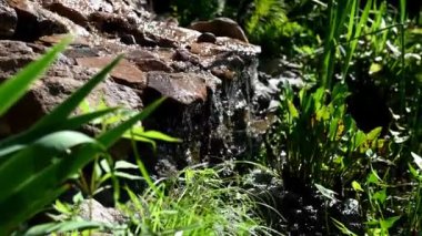 Bahçe Şelalesi Bahçe Dekorasyonu