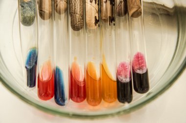 Colorful test tubes with bacteria. clipart