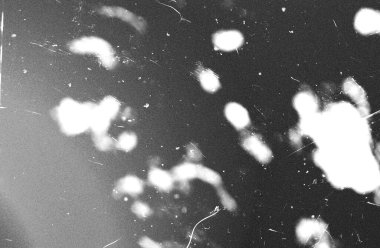 taranmış fotokopi gürültü dokusu taranmış tahıl ve kağıt punk örtüsü