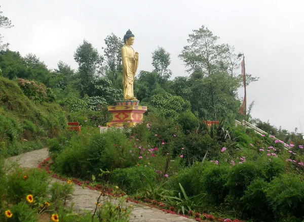 Estátua Buda Brilha Gumba Dara Kalimpong Índia Este Lugar Famoso — Fotografia de Stock