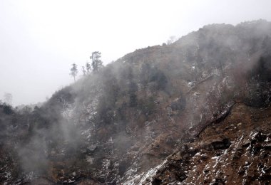 Karla kaplı ormanın sis ve sis ile büyüleyici bir görüntüsü Hindistan 'ın Doğu Sikkim kentindeki 3.500 feet yükseklikteki Kyongsla' da çam ağaçlarını sarıyor. Burası Sikkim Orman Departmanı 'nın altındaki Fyabonglo Vahşi Yaşam Sığınağı.. 