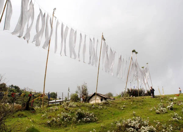 Tepelerin Sırtlarında Mutlu Çiçeklerle Dalgalanan Bayraklar Hindistan Darjeeling Kentindeki 400 — Stok fotoğraf