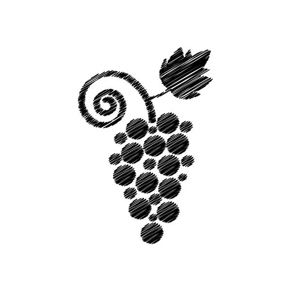 Abstrait noir raisin gribouiller signe — Image vectorielle