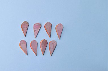 Adım adım fotoğraf çekerek bir çiçekle nasıl tebrik kartı yapılacağı öğretiliyor. Adım 4.2. Tüm kesilmiş kalpler ikiye ayrılır.