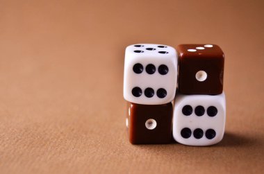 Kopya alanı ile zar beyaz ve kahverengi yakın plan oynanıyor
