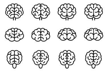 Brain pattern line art detailed illustration