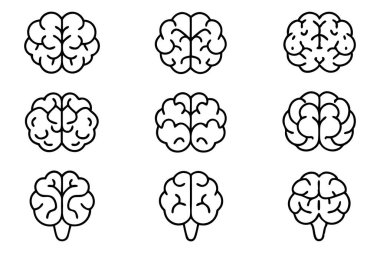 Brain line art artwork with clarity