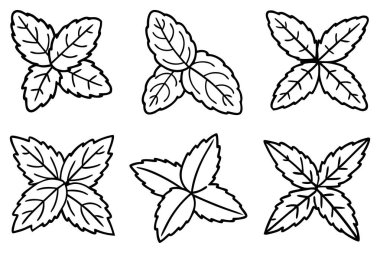 Naneli yaprak çizgisi sanat tasarımı