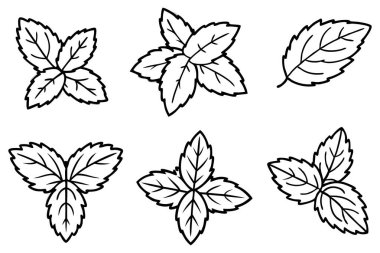 Nane yaprağı çizgisi basit tasarım