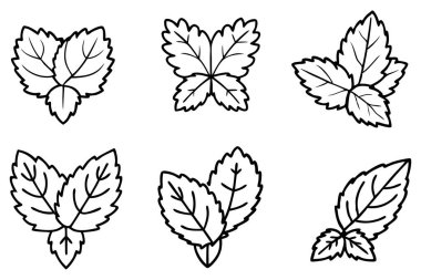 Nane yaprağı çizgisi sanat illüstrasyonu