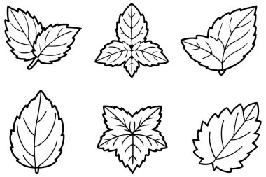 Nane yaprağı çizgisi sanatı minimum konsept