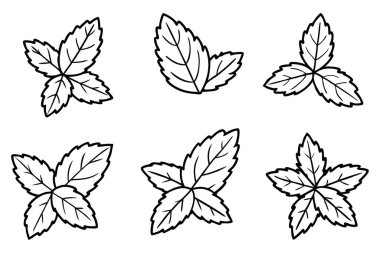 Naneli yaprak çizgisi sanat narin çizimi