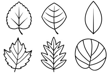 Tasarım sanatı minimalistik ana hatlarını bırakır