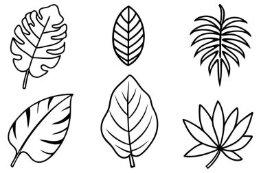 Safari sanat tasarımı çizgisi bırakıyor