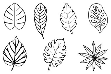 Safari soyut çizim çizgisi bırakıyor