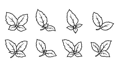 Basil çizgisi çizimi basit ve zarif botanik tasarımı