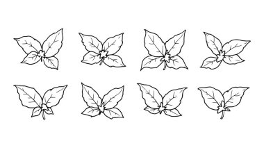 Modern dekor için fesleğen çizgisi sanat illüstrasyonu minimalist tarzı