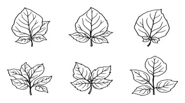 Basil yaprağı çizgisi çizimi basit zarif botanik tasarım ayrıntıları