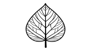 Banyan yaprak hattı sanat narin el çizimi doğa esinlenilmiş sanat tasarımı