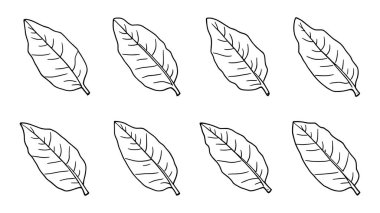 Muz yaprağı çizgisi doğa severler için basit ve zarif bir tasarım.