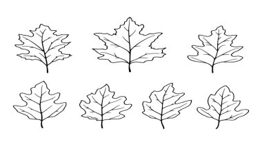 Sanat severler için tropikal güzelliğin sanatsal tasviri.